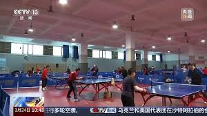 贝博中国 乒乓球台上长毛怎么办去除